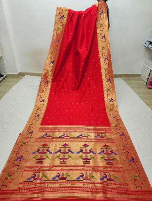 Peacock Parrots Brocade Paithani