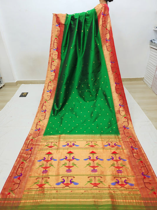 Peacock Parrots Brocade Paithani