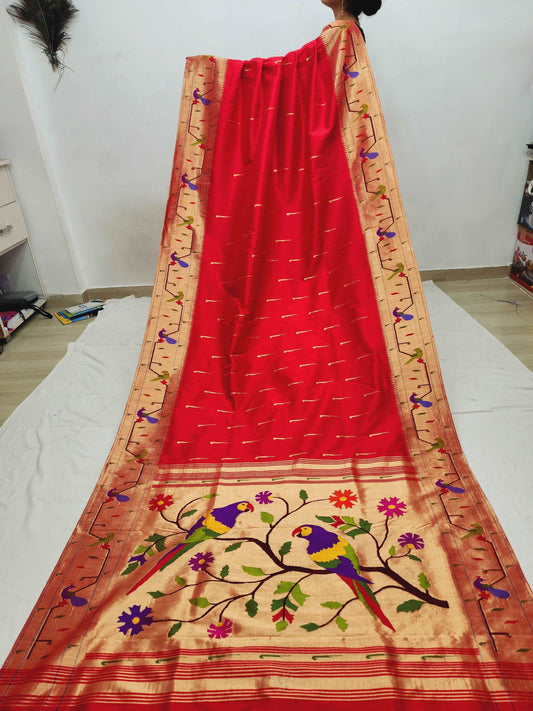 Peacock Parrots Brocade Paithani