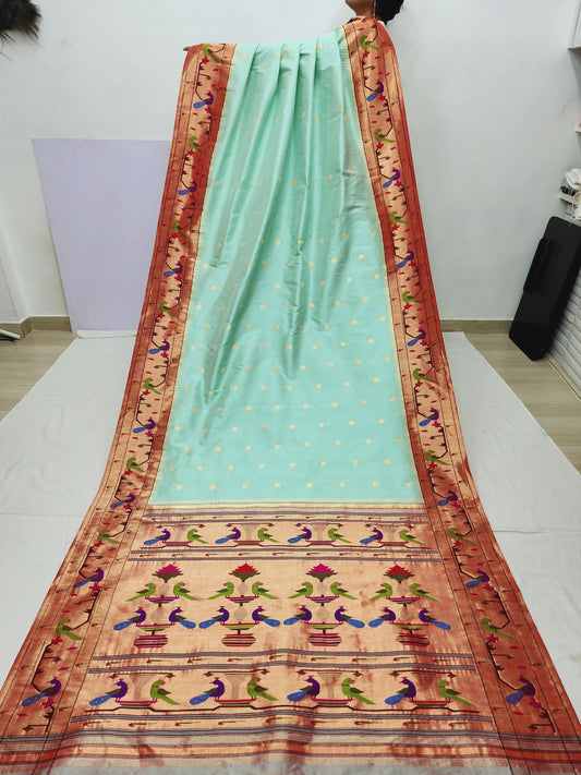 Peacock Parrots Brocade Paithani