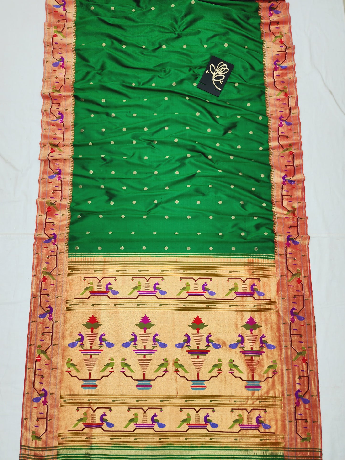 Peacock Parrots Brocade Paithani