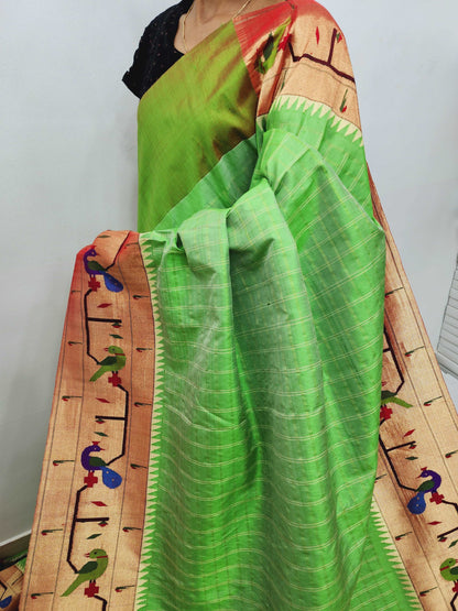 Peacock Parrots Brocade Paithani